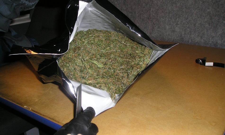 2011-9-22-1254110920_marihuana (8).JPG